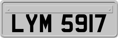 LYM5917