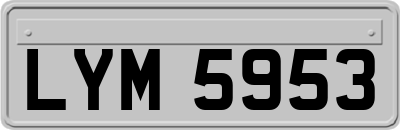 LYM5953