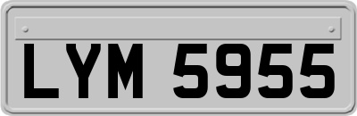 LYM5955