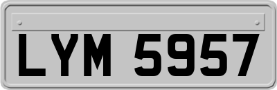 LYM5957