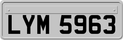 LYM5963