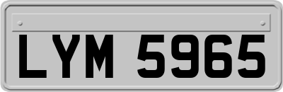 LYM5965