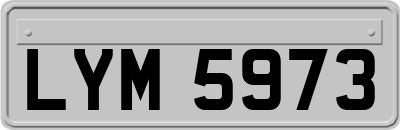 LYM5973