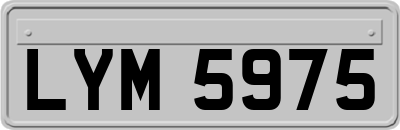 LYM5975