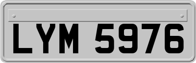 LYM5976