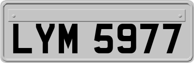 LYM5977