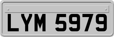 LYM5979