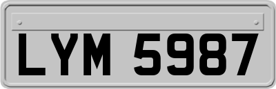 LYM5987
