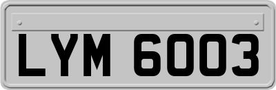 LYM6003