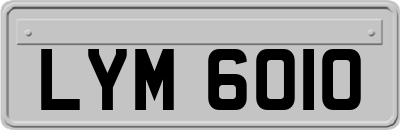 LYM6010