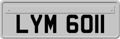 LYM6011