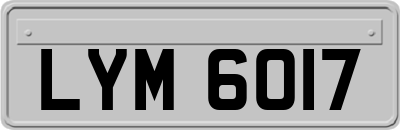 LYM6017