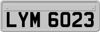 LYM6023