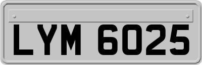 LYM6025