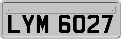 LYM6027