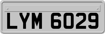 LYM6029