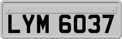 LYM6037