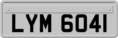 LYM6041