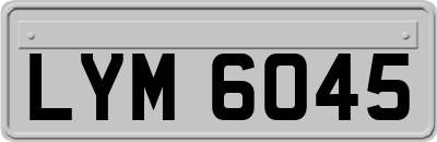 LYM6045