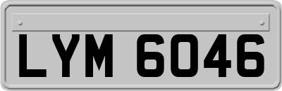 LYM6046