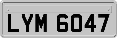 LYM6047