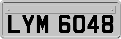 LYM6048