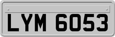 LYM6053
