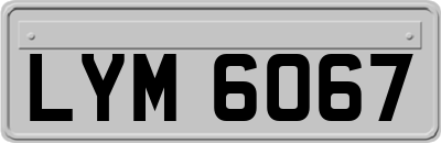LYM6067