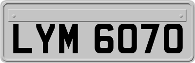 LYM6070