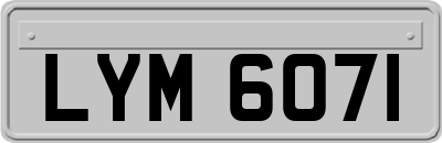 LYM6071