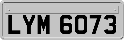 LYM6073