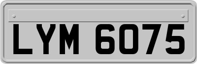 LYM6075