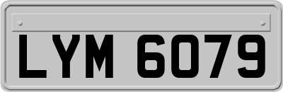 LYM6079