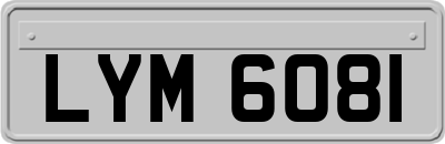 LYM6081
