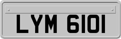 LYM6101