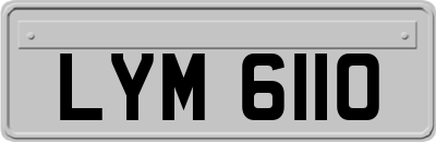 LYM6110
