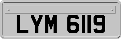 LYM6119