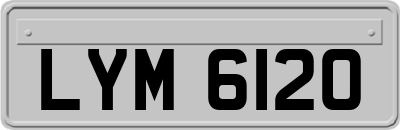 LYM6120