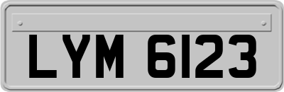LYM6123