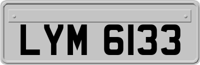 LYM6133