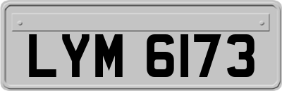LYM6173