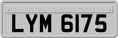 LYM6175