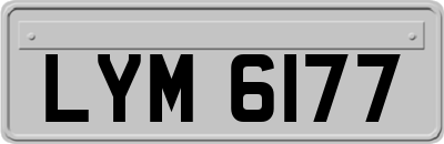 LYM6177