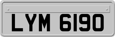 LYM6190