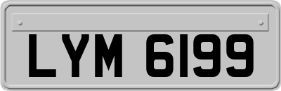 LYM6199