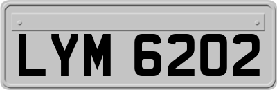 LYM6202