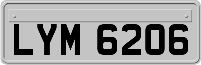 LYM6206