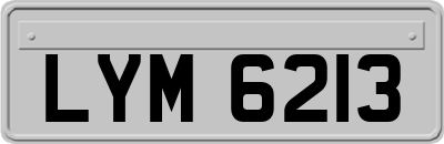 LYM6213