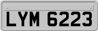 LYM6223