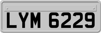 LYM6229